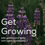 Add value to your lake tahoe home with native landscaping.